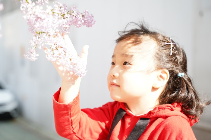 네이버 인플루언서: 놀던청년의 홈 [네이버 인플루언서] 놀던청년