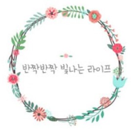 인플루언서 프로필