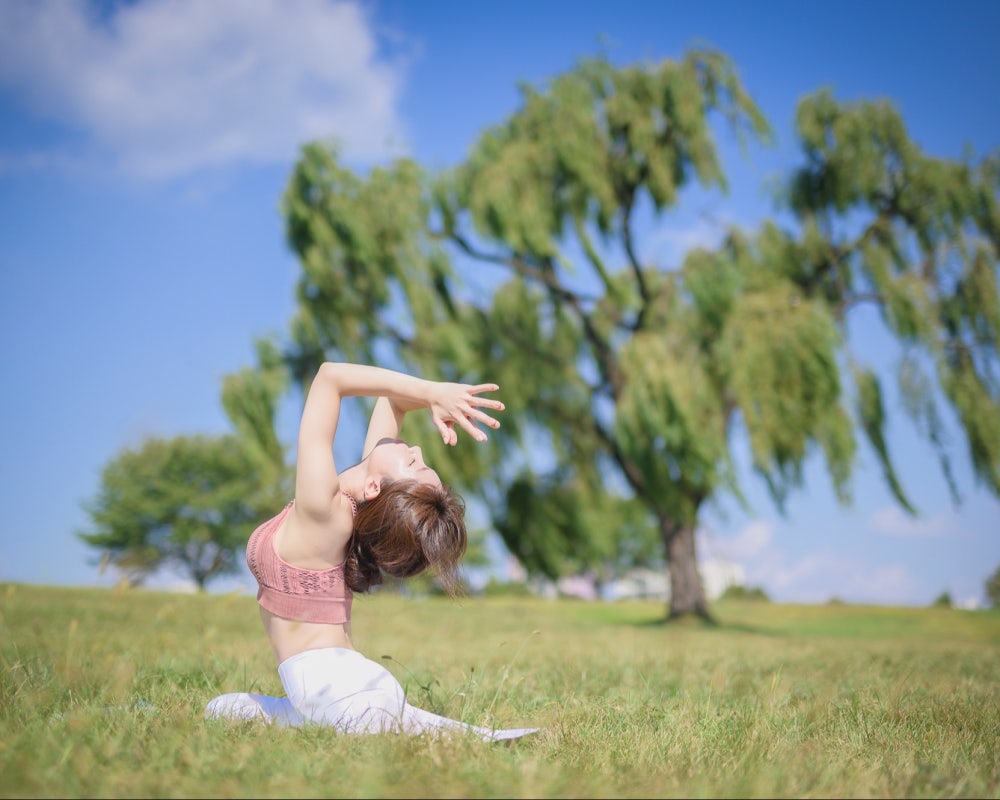 인플루언서 검색 소피 요가 (Sophie yoga)의 홈