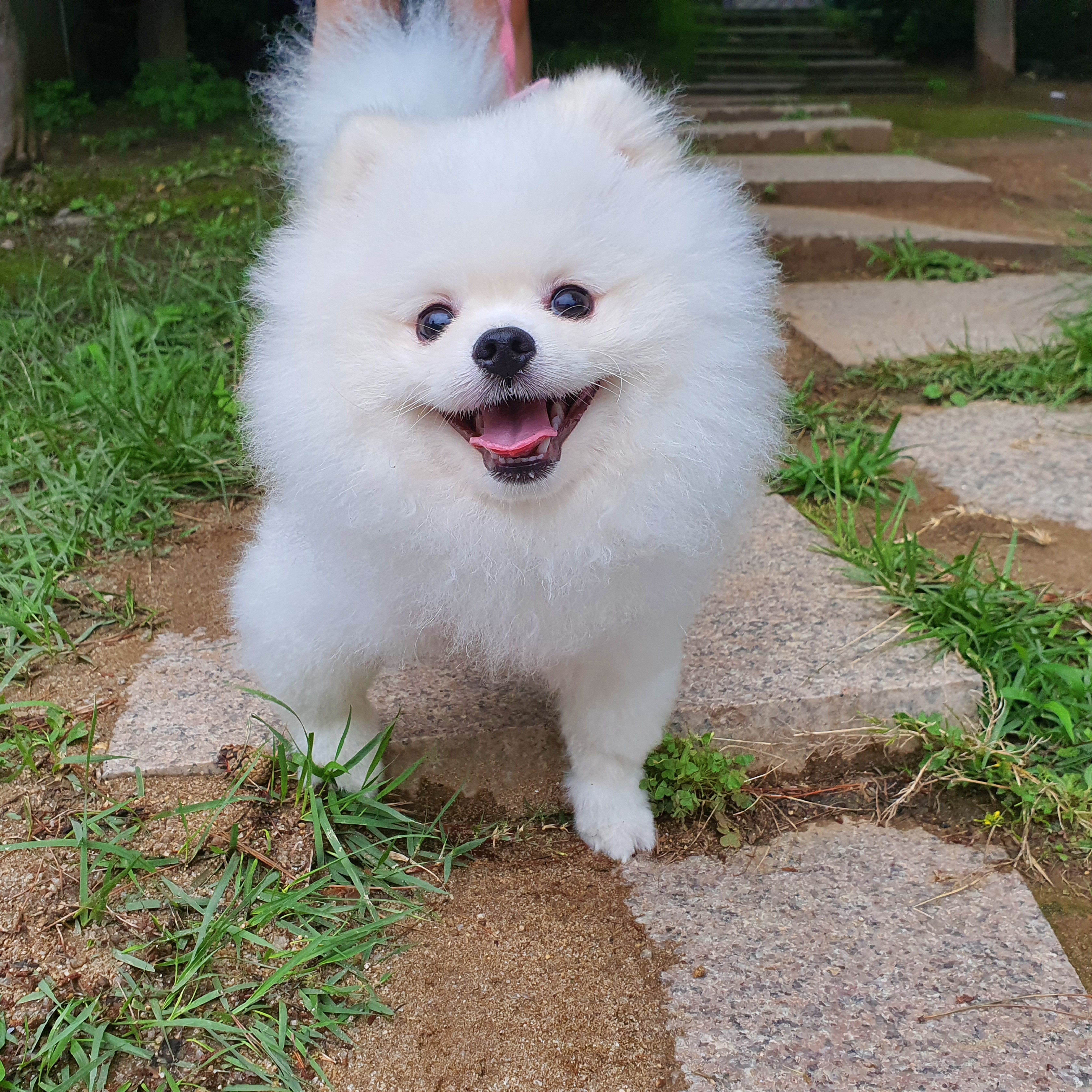 인플루언서 프로필