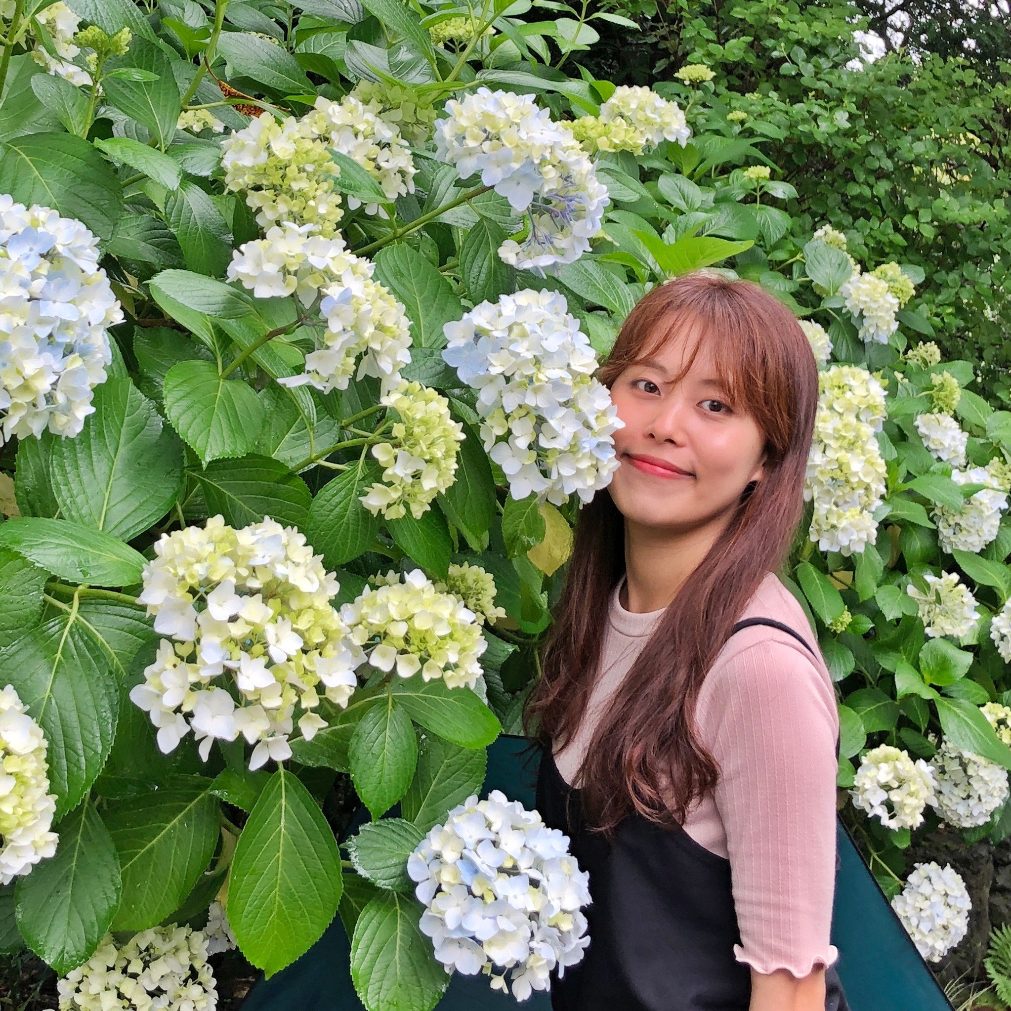인플루언서 프로필