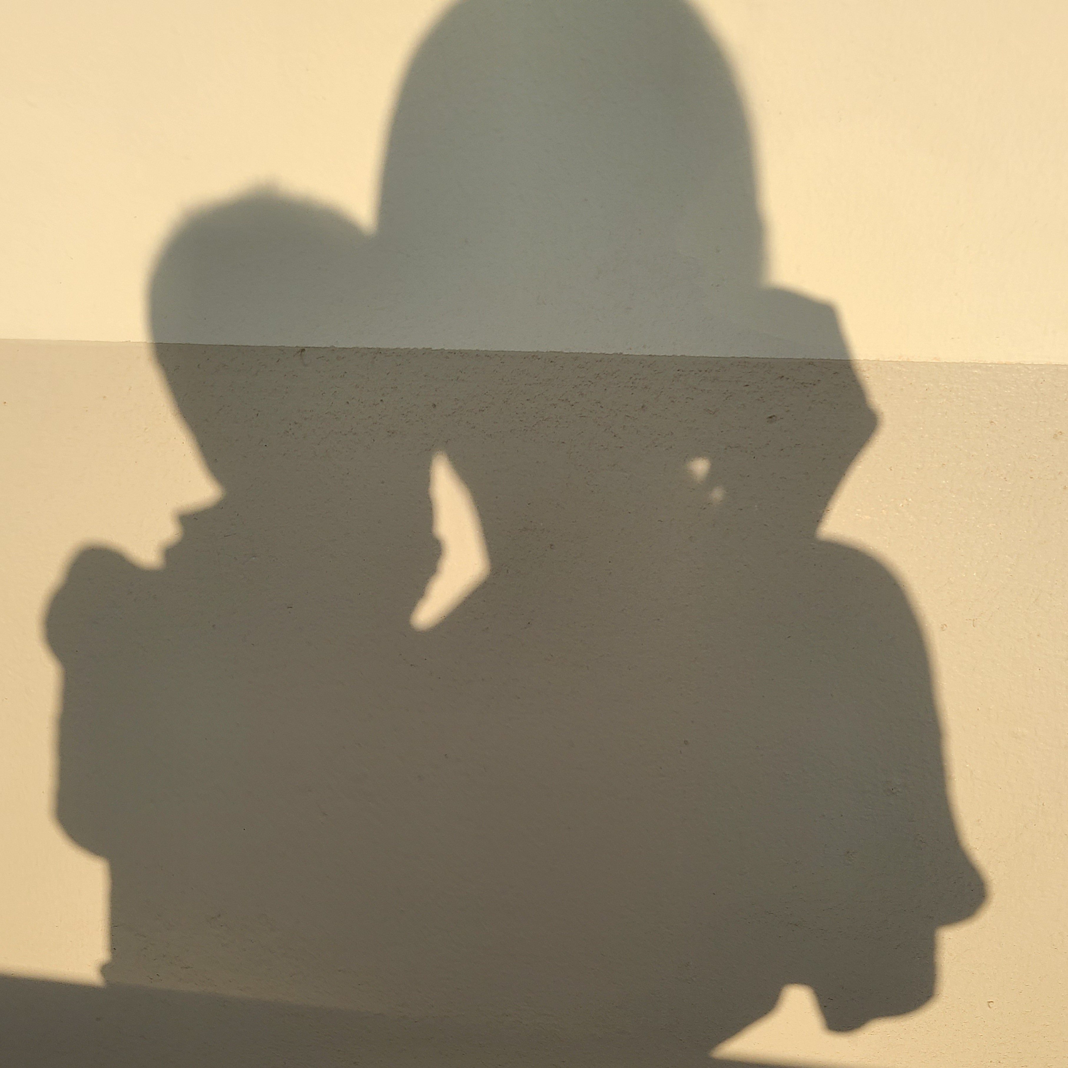 인플루언서 프로필