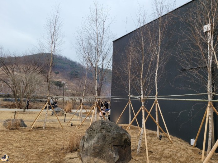 네이버 인플루언서 [네이버 인플루언서] 경북 청도 카페 주말 드라이브