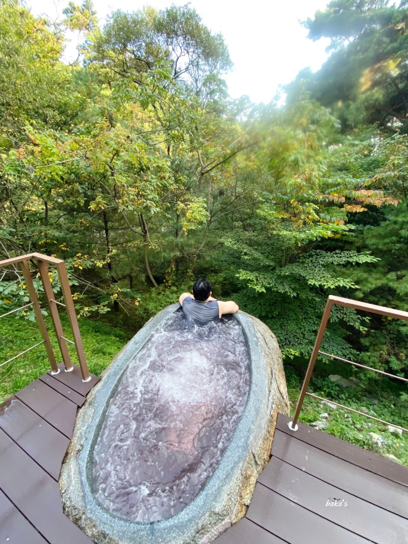 네이버 인플루언서: 바카의 홈 [네이버 인플루언서] 바카