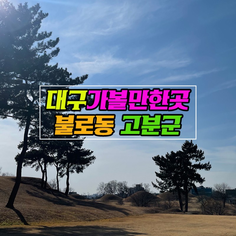 네이버 인플루언서: 히릿의 홈 [네이버 인플루언서] 히릿
