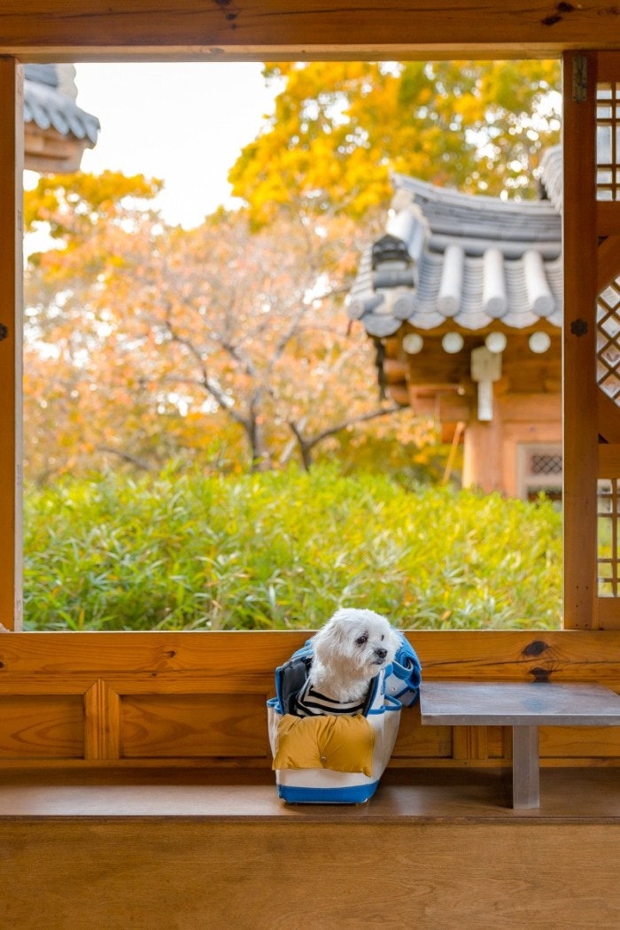 청담로스팅 6