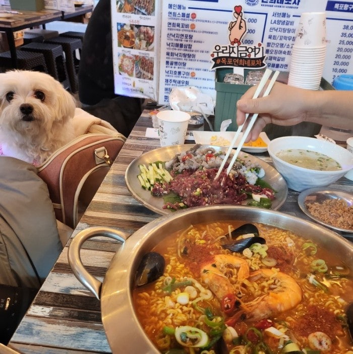사진 2
