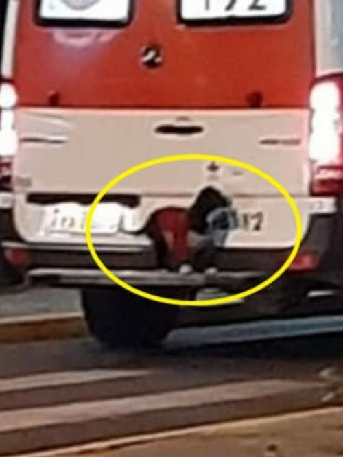 펜캠2495체험학교 15