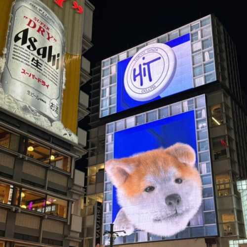 영진돼지국밥