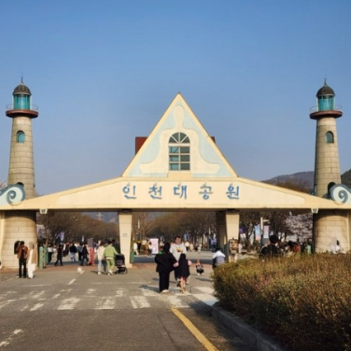 네이버 인플루언서 [네이버 인플루언서] 강원도 강릉 가볼만한곳 하슬라아트월드