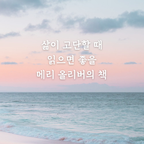 네이버 인플루언서 [네이버 인플루언서] 일기, 새로운 문학의 장