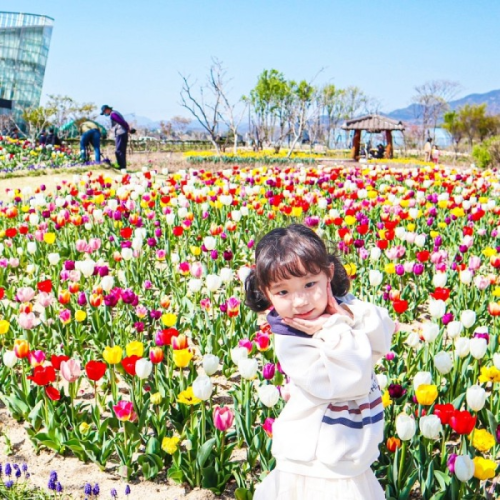 네이버 인플루언서 [네이버 인플루언서] 투어패스로 가성비 있는 여행 떠나봐요