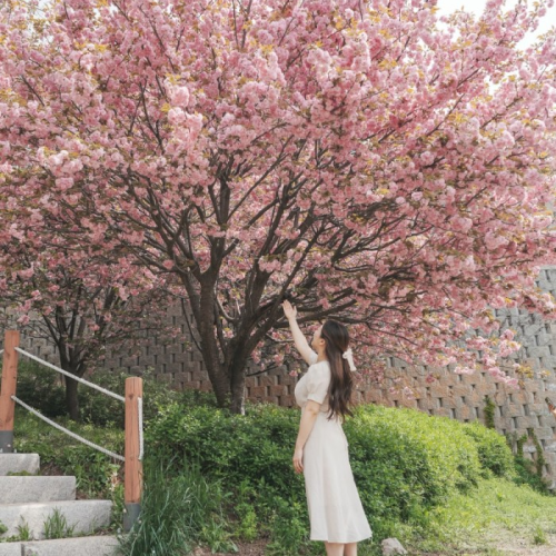네이버 인플루언서 [네이버 인플루언서] 부산 여행 꼭 가봐야할 핫플 BEST5