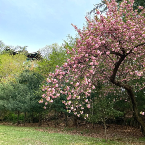 네이버 인플루언서 [네이버 인플루언서] 전주 객리단길 또 가고 싶은 맛집 BEST5