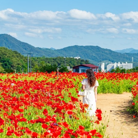 네이버 인플루언서 [네이버 인플루언서] 부산 빵순이가 인정한 부산 빵지순례 빵집 모음 zip.