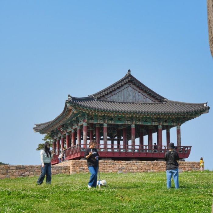 달리지용 2