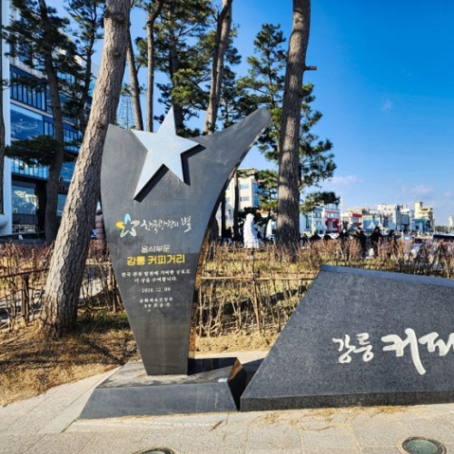네이버 인플루언서 [네이버 인플루언서] 강릉 기차여행, 강릉 쏘카존, 강릉 장칼국수, 강릉 여행 코스