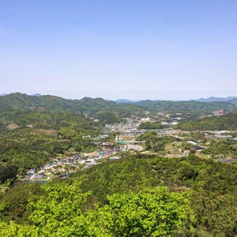 네이버 인플루언서 [네이버 인플루언서] 부산 빵집 리스트 추천!