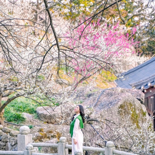 네이버 인플루언서 [네이버 인플루언서] 바다 전망 제대로 즐길 수 있는 오션뷰 휴게소 