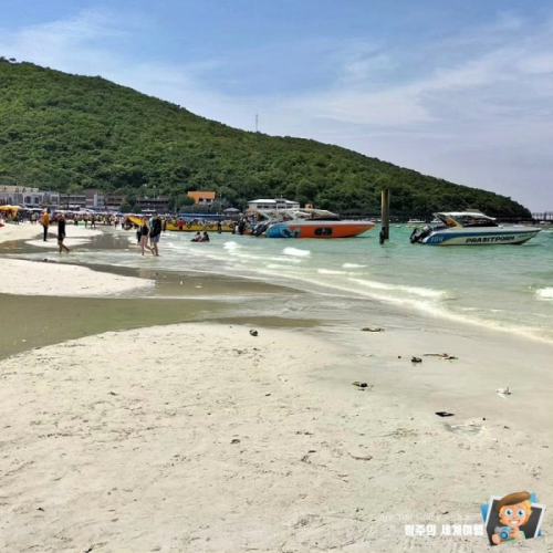 네이버 인플루언서 [네이버 인플루언서] 소소한 매력의 제주도 감성 숙소 BEST5