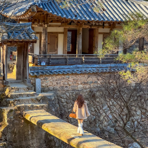 네이버 인플루언서 [네이버 인플루언서] 바다 여행하러 가기 좋은 부산, 애월 여행지