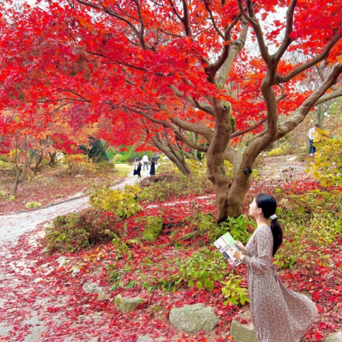발왕산 기 스카이워크
