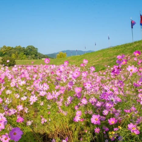 충청도서산