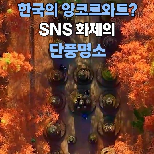 앙코르와트
