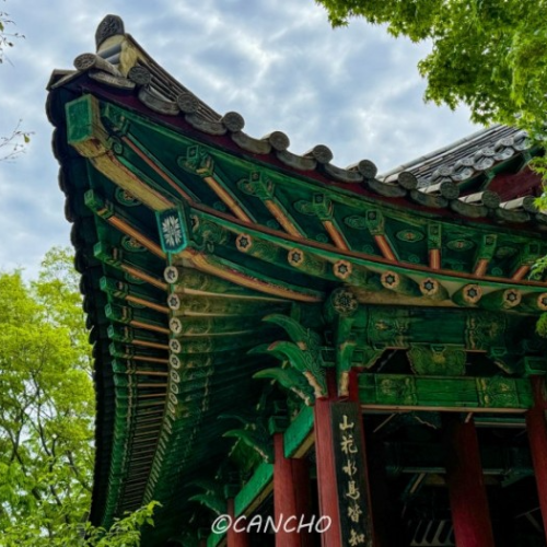 풀파티